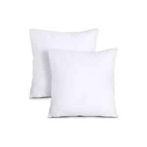 Pack-of-2 White Throw Pillows