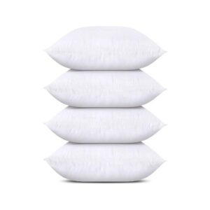 18x18-Inch Throw Pillows for Sofa